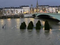 Arbres dépassant de la surface de l'eau sur l'ïle la croix à Rouen